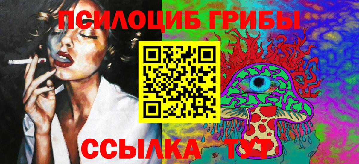 Псилоцибиновые грибы мицелий Малгобек